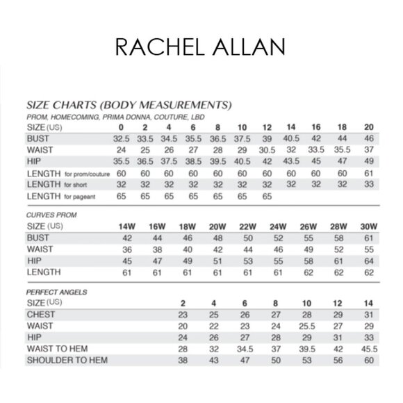 NWT Rachel Allan 6207 Bridal Dresses Tulle White Size 10 - Picture 4 of 5